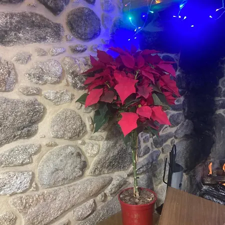 Casa Do Miguelo Vimianzo